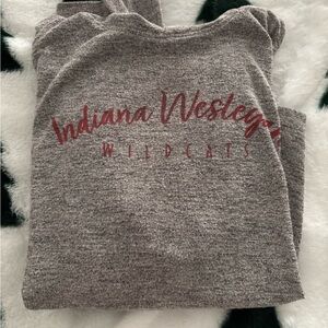 Indiana Wesleyan hooded shirt